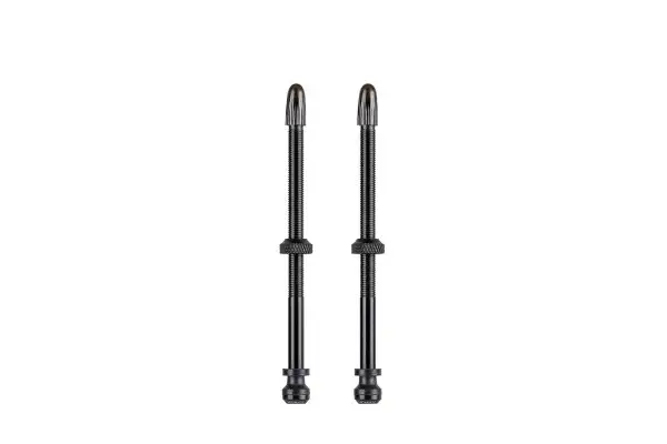 Вентиль Schwalbe для безкамерних ободів, 100mm (2 шт) - Магазин ВелоБуча