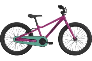 Велосипед 20 Cannondale Trail SS OS 2026 ORC - Магазин ВелоБуча