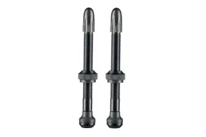Вентиль Schwalbe для бескамерных ободов, 40mm (2 шт)
