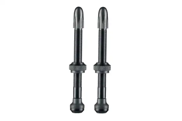 Вентиль Schwalbe для бескамерных ободов, 40mm (2 шт) - Schwalbe - Магазин ВелоБуча Вентиль Schwalbe для бескамерных ободов, 40mm (2 шт) - Магазин ВелоБуча