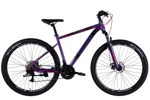 Велосипед ST 29 Discovery TREK DD FR рама-19 фіолетовий 2025 - Магазин ВелоБуча