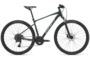 Велосипед Giant Roam 2 зел Asphalt L