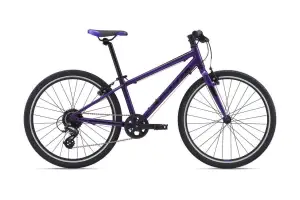 Велосипед Giant ARX 24 фіол.