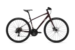 Велосипед Liv Alight 3 DD Disc Figuier S