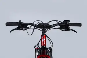 Велосипед з електроприводом 29 AL Formula eF-1 DD CS рама-21 48B 12.5А*г 500Вт червоно-сріблястий 2026 - Магазин ВелоБуча