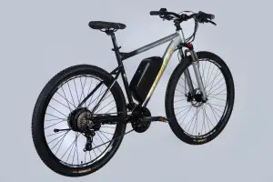 Велосипед з електроприводом 29 AL Formula eF-1 DD CS рама-21 48B 17.5А*г 500Вт сріблясто-чорний 2026 - Магазин ВелоБуча