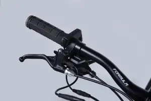 Велосипед з електроприводом 29 AL Formula eF-1 DD CS рама-21 48B 17.5А*г 500Вт сріблясто-чорний 2026 - Магазин ВелоБуча