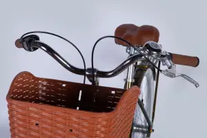 Велосипед AL 28 Dorozhnik CORAL  PH рама-19 болотно-зелений 2025 - Магазин ВелоБуча