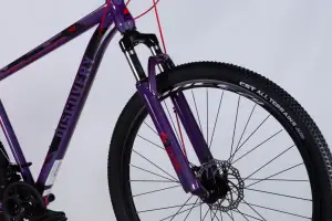 Велосипед ST 29 Discovery TREK DD FR рама-19 фиолетовый 2025 - Discovery - Магазин ВелоБуча Велосипед ST 29 Discovery TREK DD FR рама-19 фиолетовый 2025 - Магазин ВелоБуча