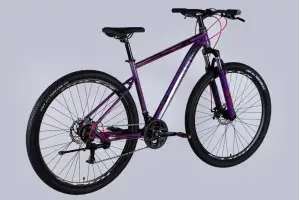 Велосипед ST 29 Discovery TREK DD FR рама-19 фиолетовый 2025 - Discovery - Магазин ВелоБуча Велосипед ST 29 Discovery TREK DD FR рама-19 фиолетовый 2025 - Магазин ВелоБуча