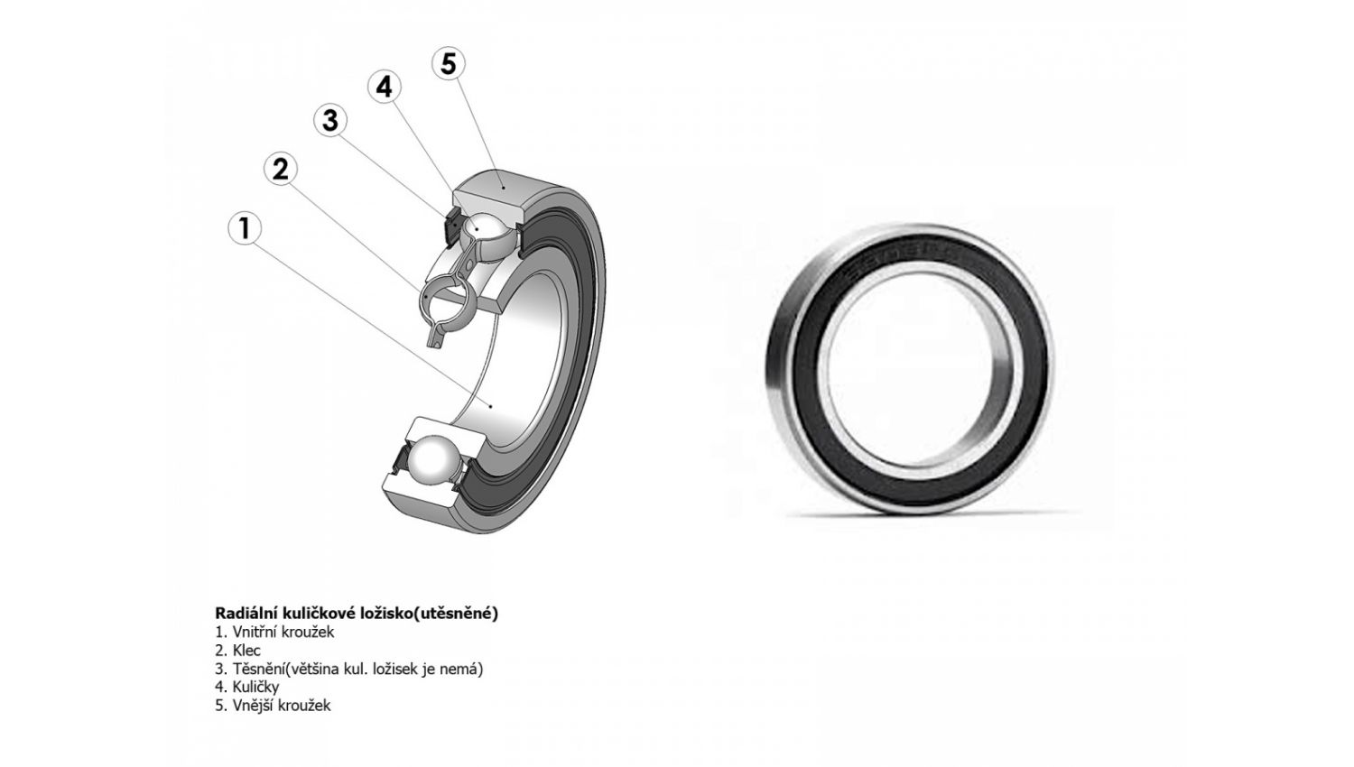 Подшипник 6000 2RS/RS/RU для втулки Xenon Disc R/ACO-H04D R/ACO-H99 R под ось 10 мм - Author - Магазин ВелоБуча Подшипник 6000 2RS/RS/RU для втулки Xenon Disc R/ACO-H04D R/ACO-H99 R под ось 10 мм - Магазин ВелоБуча